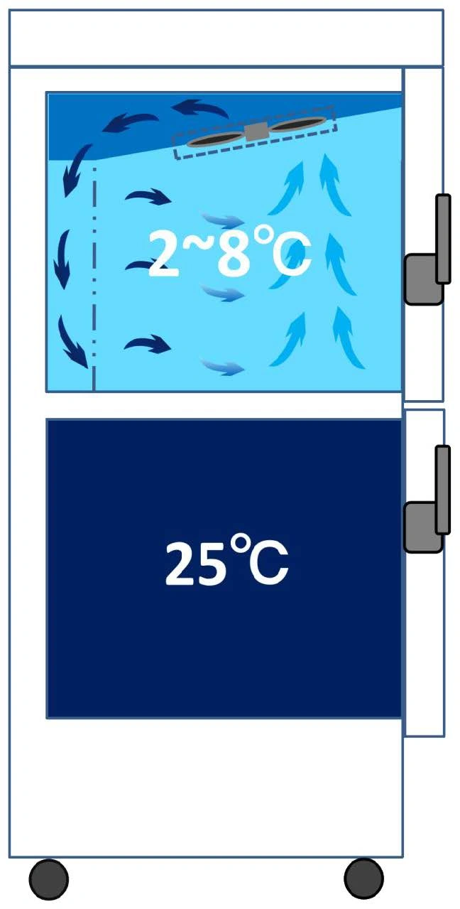 Product10