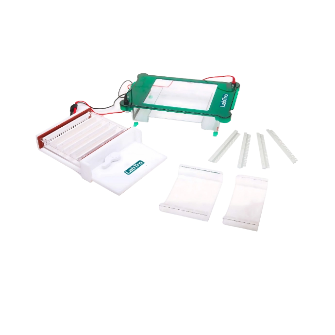 Horizontal Gel Electrophoresis LT-HGE201