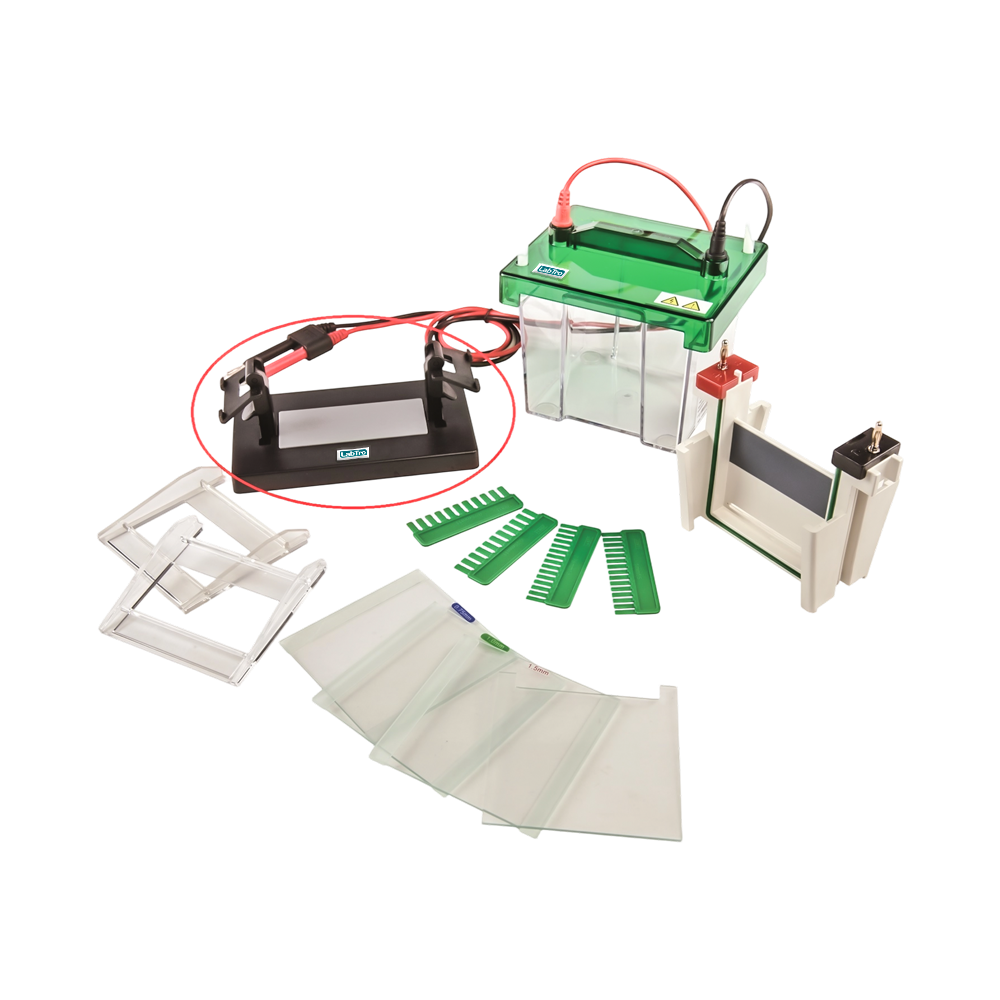 Vertical Gel Electrophoresis System LT-VGE101